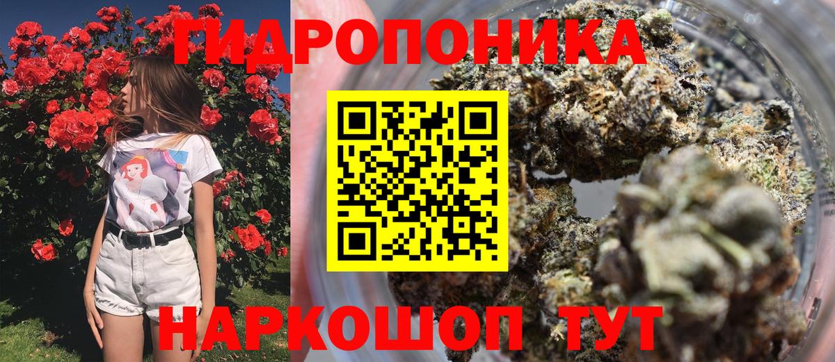 Бошки Шишки планчик  Вход с VPN  Бошки Шишки ГИДРОПОН  Кушва  Бошки Шишки LSD WEED  Шишки марихуана SATIVA & INDICA 